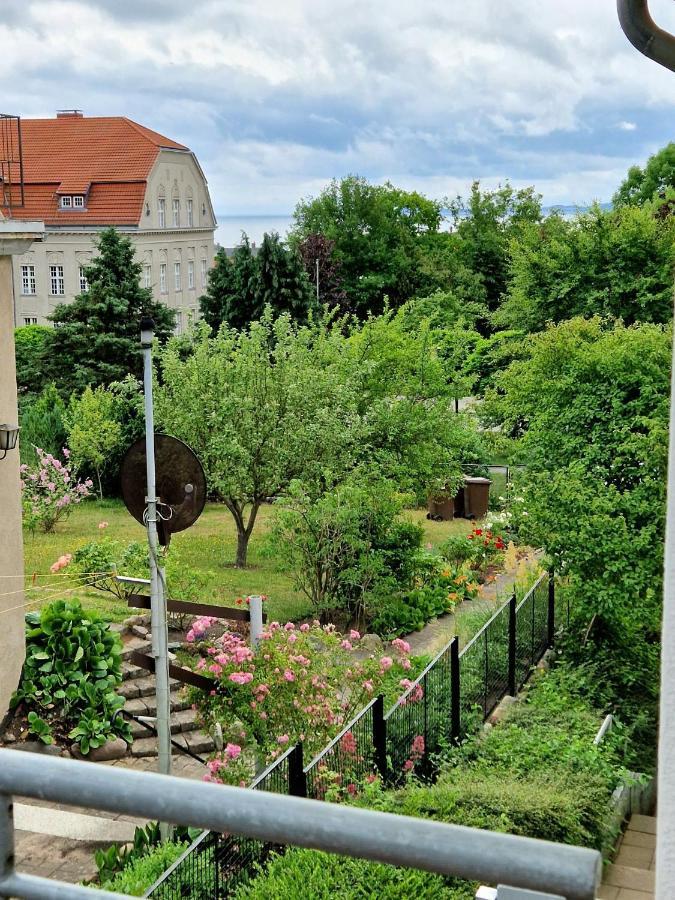 Ferienwohnung Treibholz ザスニッツ エクステリア 写真